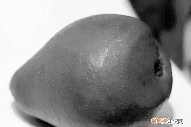 盛夏的果实是啥意思