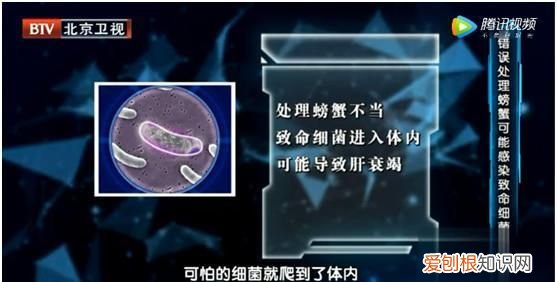 吃螃蟹禁忌那么多到底哪个是真的