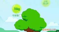 支付宝中蚂蚁森林怎样浇水，蚂蚁森林怎么给自己浇水啊