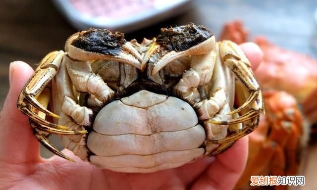 大闸蟹怎么蒸才正确蟹黄多