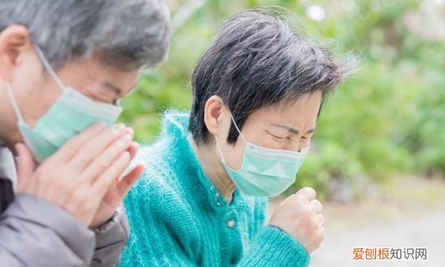 润肺汤的做法与功效