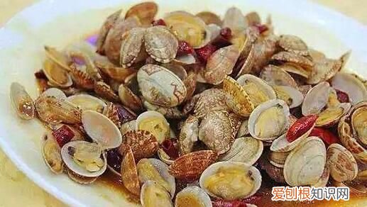 花蛤可以养几天 花蛤可以淡水养几天