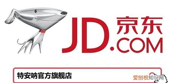 三七食疗的功效与作用