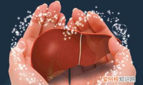 三七食疗的功效与作用