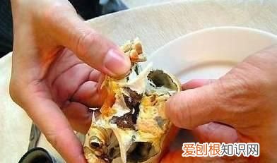 买螃蟹要怎么挑才会饱满