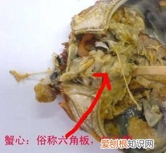 买螃蟹要怎么挑才会饱满