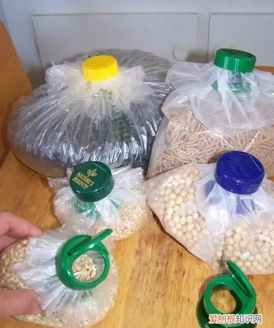 可乐易拉罐瓶底变形还能喝嘛 可乐喝完了瓶子可别扔