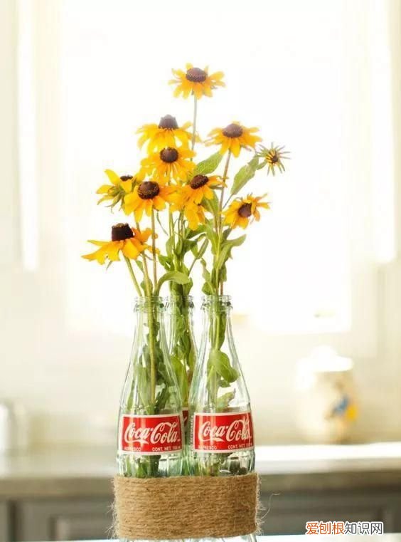 可乐易拉罐瓶底变形还能喝嘛 可乐喝完了瓶子可别扔