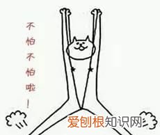 不明小黑虫入侵深圳