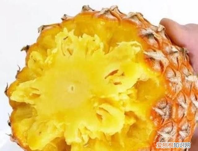 手撕凤梨的正确吃法,凤梨的正确吃法一天能吃好几千个