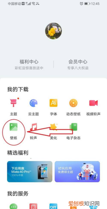 手机怎样设置动态壁纸，宠物邦如何设置手机动态壁纸