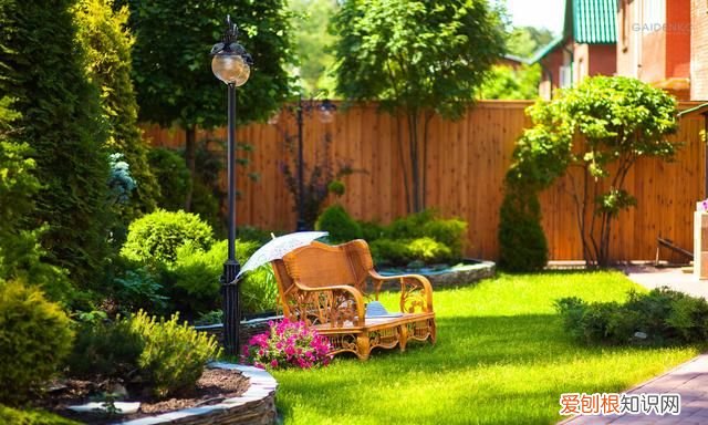 院子里有老鼠怎么办能除根,家里有老鼠怎么灭鼠最快的方法