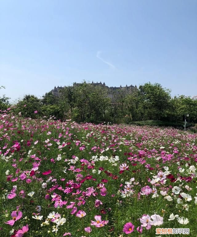 海南省海花岛,海南省海花岛全景