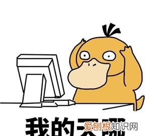 word中怎么删除页眉下的横线