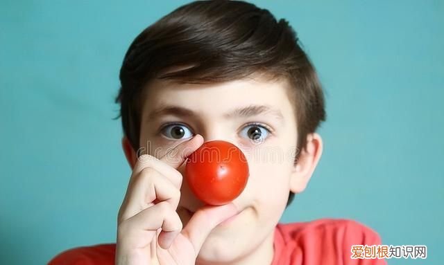 西红柿为什么不能放进冰箱