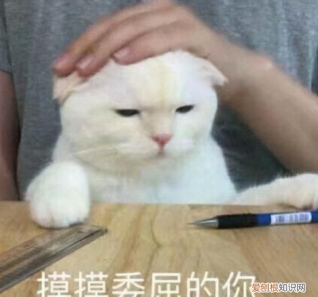 羽绒服毛衣怎么洗不缩水 毛衣羽绒服清洗