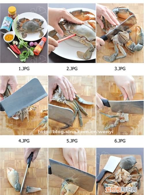 蟹天蟹地怎么样,蟹天蟹地白蟹上市