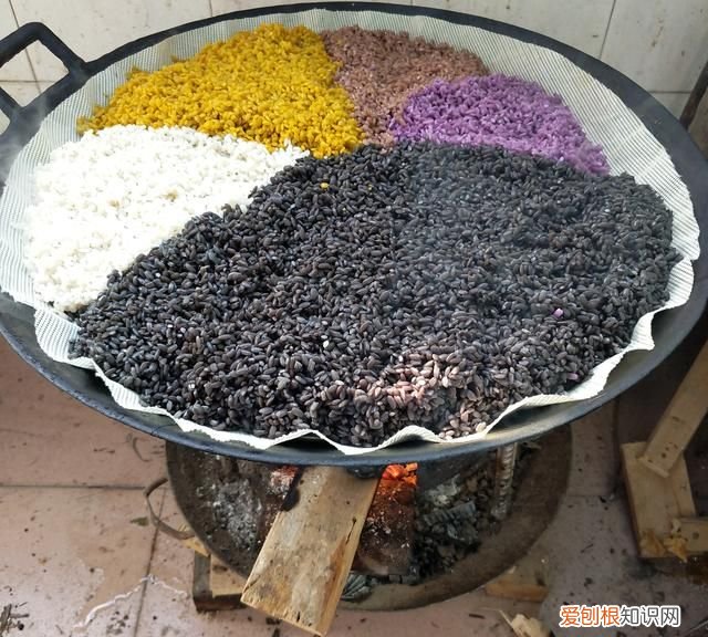 五色糯米饭用哪种枫叶,五色糯米饭黑色枫叶怎么做的