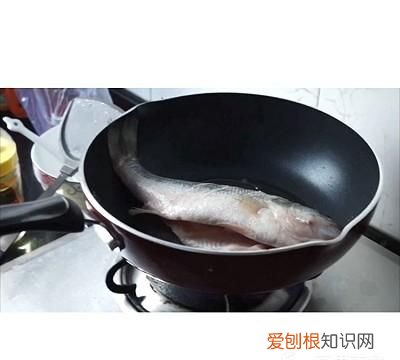 红烧鲈鱼的做法,红烧鲈鱼的做法播放