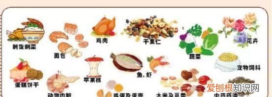 科普关于垃圾分类你了解多少