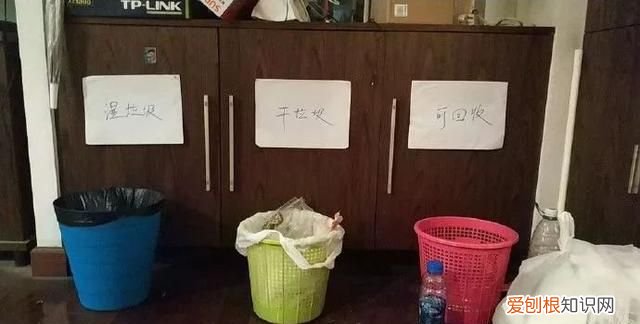 科普关于垃圾分类你了解多少