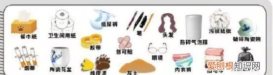 科普关于垃圾分类你了解多少