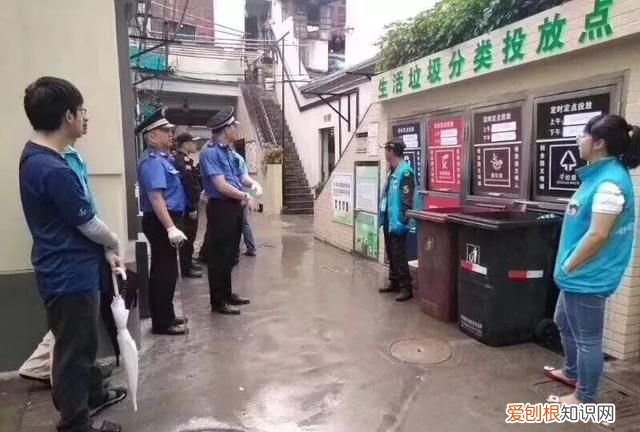 科普关于垃圾分类你了解多少
