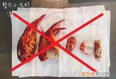 科普关于垃圾分类你了解多少