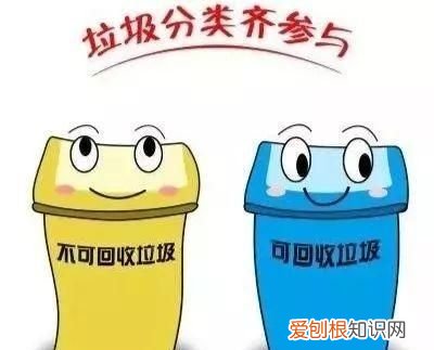 科普关于垃圾分类你了解多少