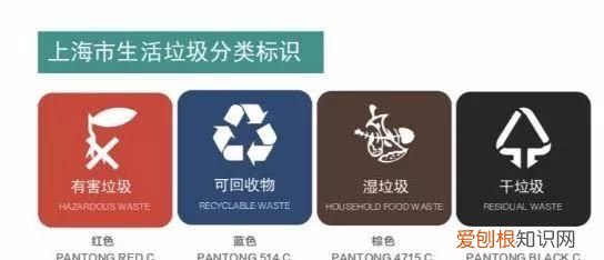 科普关于垃圾分类你了解多少