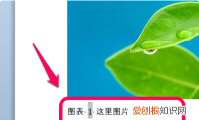 插图清单应该要怎么自动生成,word如何自动生成插图清单目录