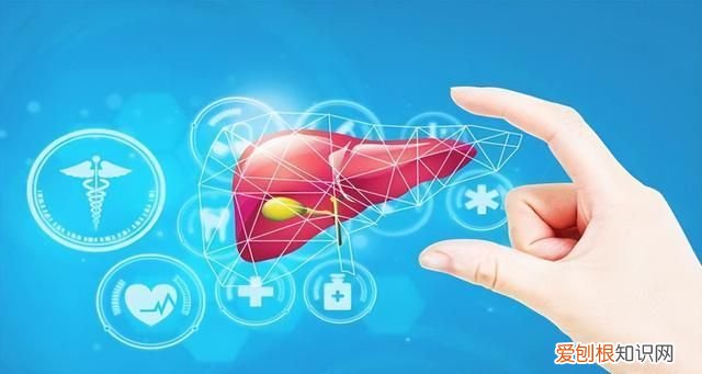 常吃大蒜是养肝还是伤肝?医生给出答案,不妨了解一下!