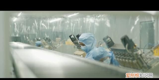 活体菌菇在哪可以买到,菌菇运输