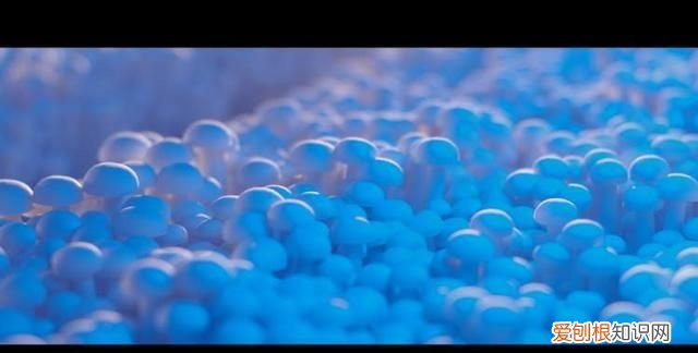 活体菌菇在哪可以买到,菌菇运输