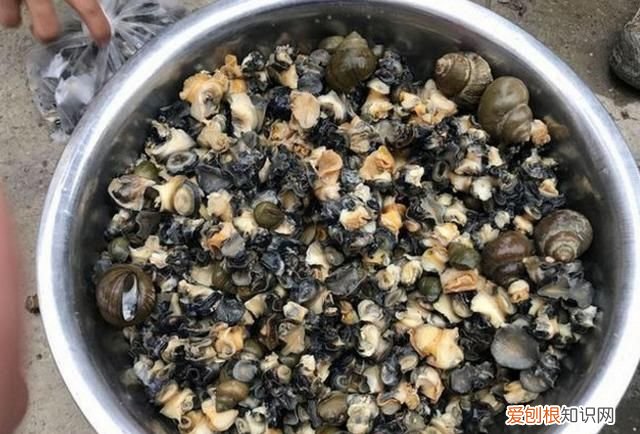 农村街上卖什么吃的赚钱