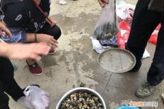 农村街上卖什么吃的赚钱