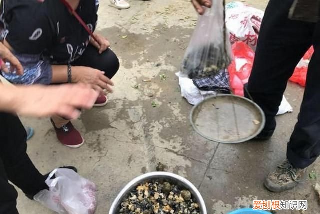 农村街上卖什么吃的赚钱