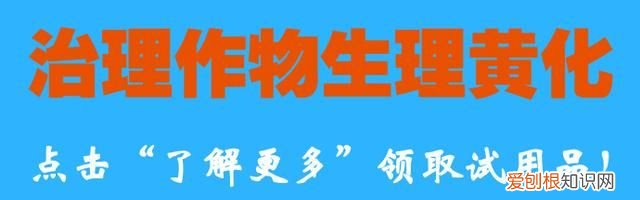 滴灌施肥到底有什么好处?怎么使用才正确呢