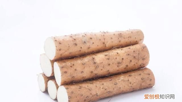 秋天吃山药的功效与作用,小孩秋天吃山药对身体有什么好处