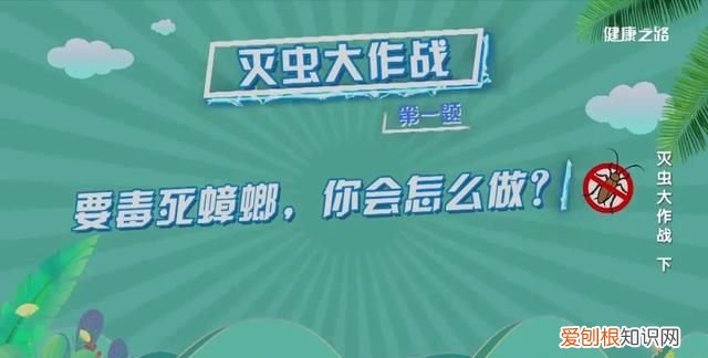 家里有蟑螂等虫子怎样能彻底消灭 灭蟑螂蚊子用什么药好
