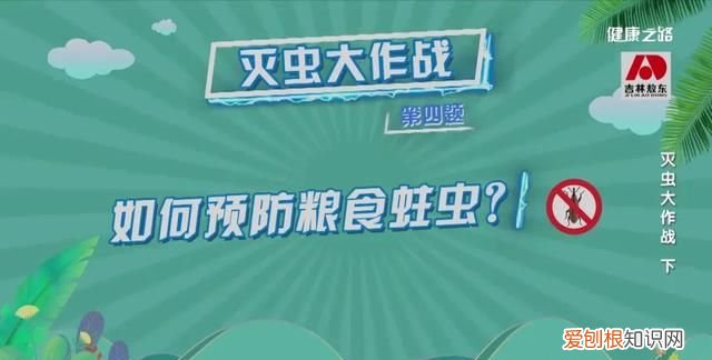 家里有蟑螂等虫子怎样能彻底消灭 灭蟑螂蚊子用什么药好