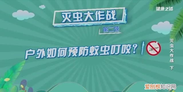 家里有蟑螂等虫子怎样能彻底消灭 灭蟑螂蚊子用什么药好