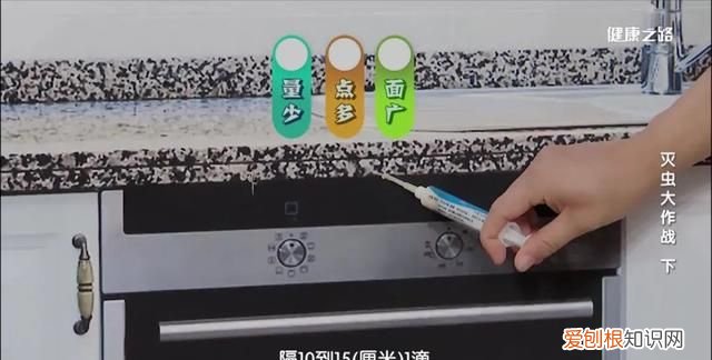 家里有蟑螂等虫子怎样能彻底消灭 灭蟑螂蚊子用什么药好