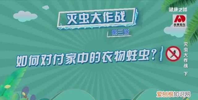 家里有蟑螂等虫子怎样能彻底消灭 灭蟑螂蚊子用什么药好