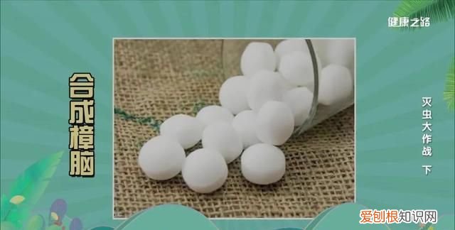 家里有蟑螂等虫子怎样能彻底消灭 灭蟑螂蚊子用什么药好