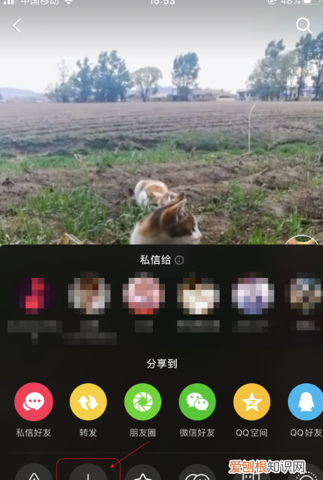 如何将抖音转发到微信，抖音咋复制链接到微信里面