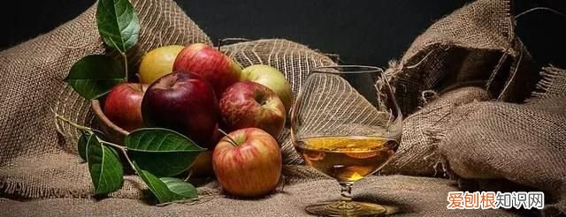 白兰地、威士忌、朗姆酒、金酒、伏特加、龙舌兰