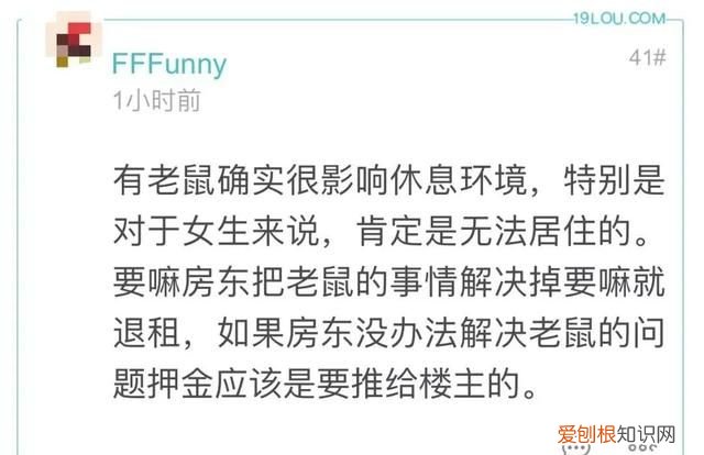 杭州租房中的猫腻,杭州临平租房找房东直租在哪找