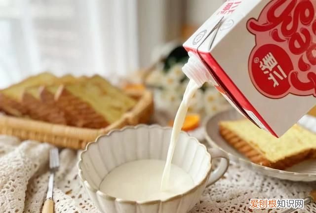 最好用的吐司配方,做吐司不用专门的方子可以吗