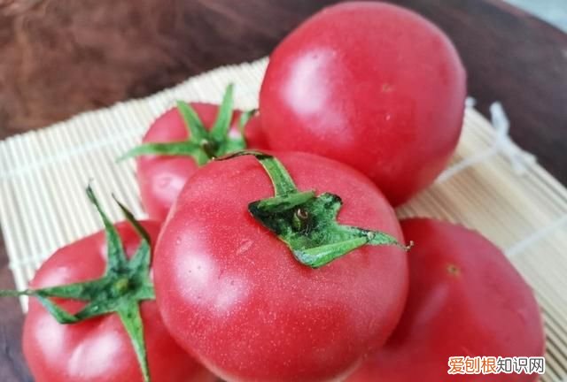 西红柿大红色好还是粉红的好,粉红色特大果西红柿种子